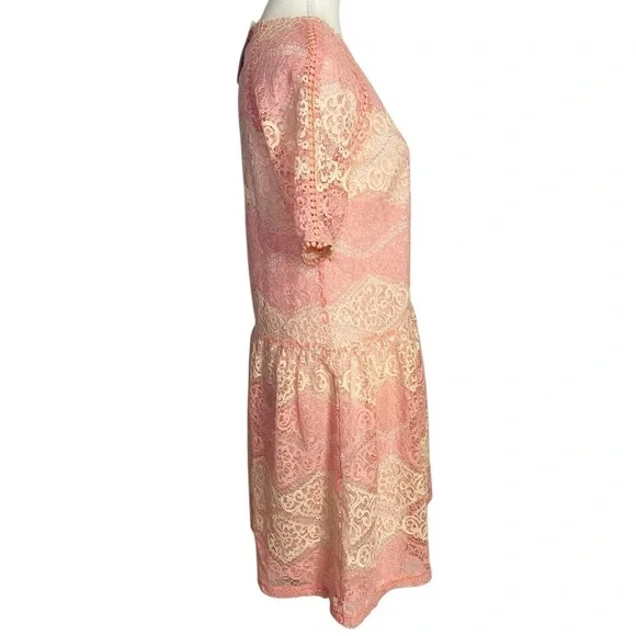 Everly Pink and Cream Lace Mini Dress NWT - Picture 3 of 14
